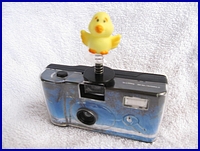 Birdie on Wedding Camera Birdie on Wedding Camera