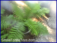 blurred photos