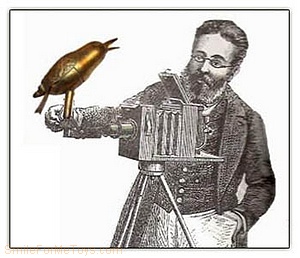 watch the birdie!