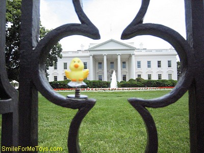 Birdie at the White House