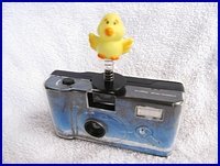 Birdie on Wedding Camera Birdie on Wedding Camera