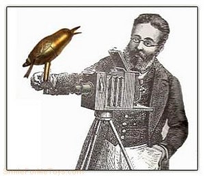 watch the birdie!