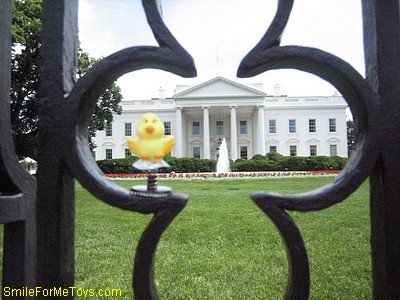 Birdie at the White House